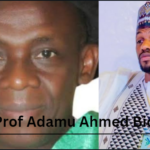 Prof Adamu Ahmed Biography